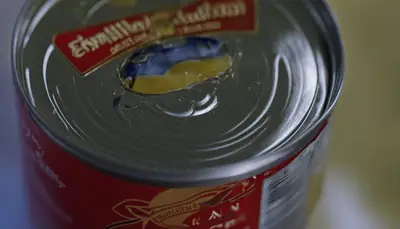 fresh wet cat food