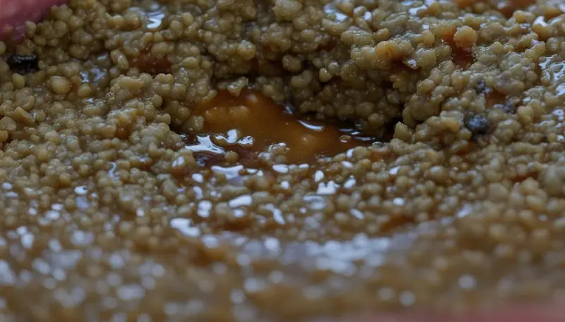 Signs of Spoilage in Wet Cat Food