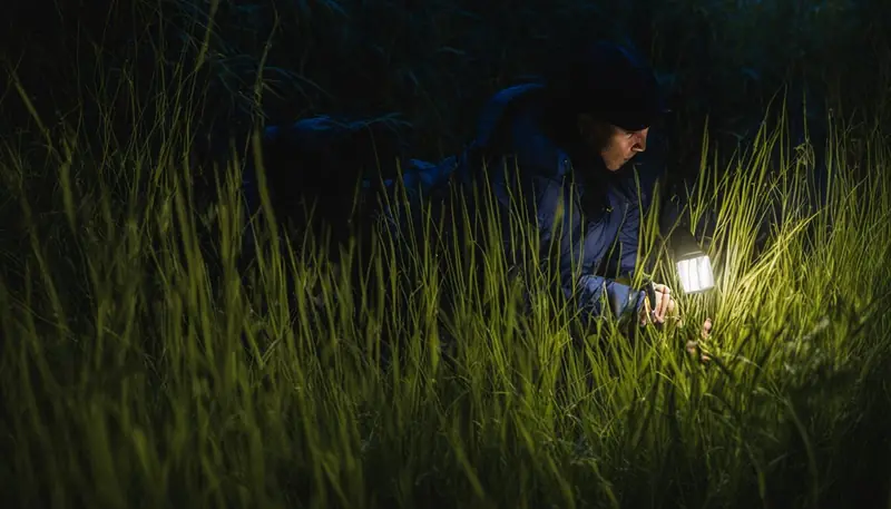 search strategies for a week-long disappearance