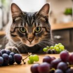 can cats eat grape stems