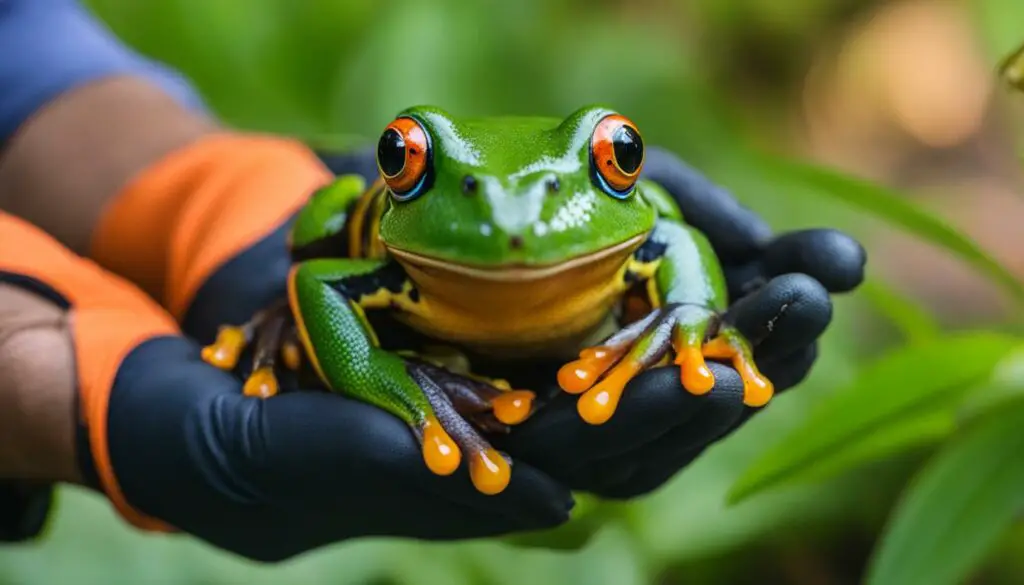 handling frogs