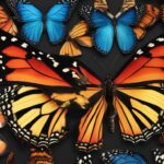 Native butterfly species identification