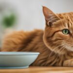 best cat food for feline acne