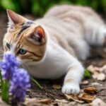 cat ate hyacinth flower