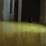 cat peeing in same spot on floor