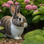 do rabbits eat hydrangeas