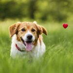 heartworm prevention for dogs without vet prescription