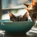 how often should you change your cats water