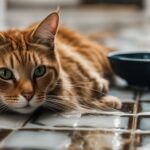 how to keep cats cool in summer without ac